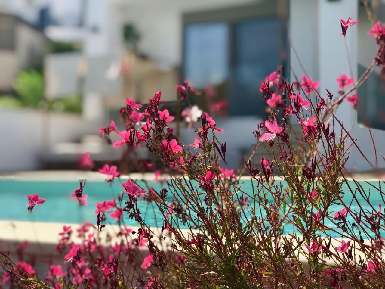 Creta Blue Luxury Collection (Adults Only) Hotel Hersonissos  Exterior photo